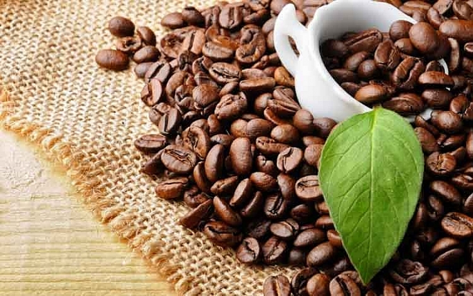 Giá cà phê tại Việt Nam tăng nhẹ