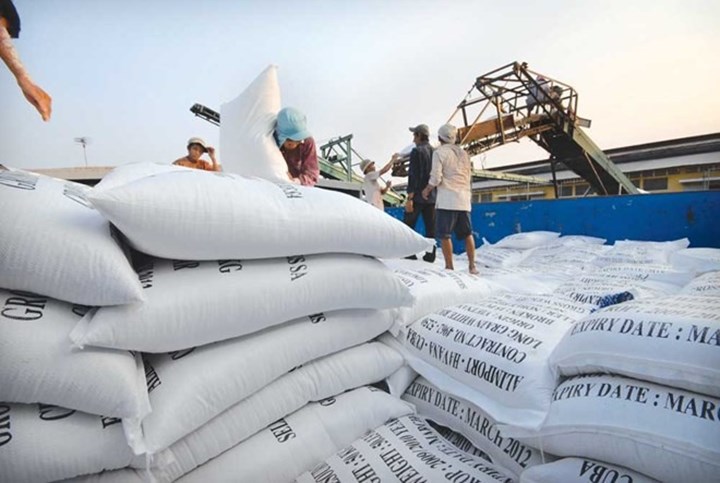 Xuất khẩu gạo tháng 8 tăng 