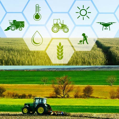 FAO phát động "Phát triển xanh các nông sản đặc biệt"