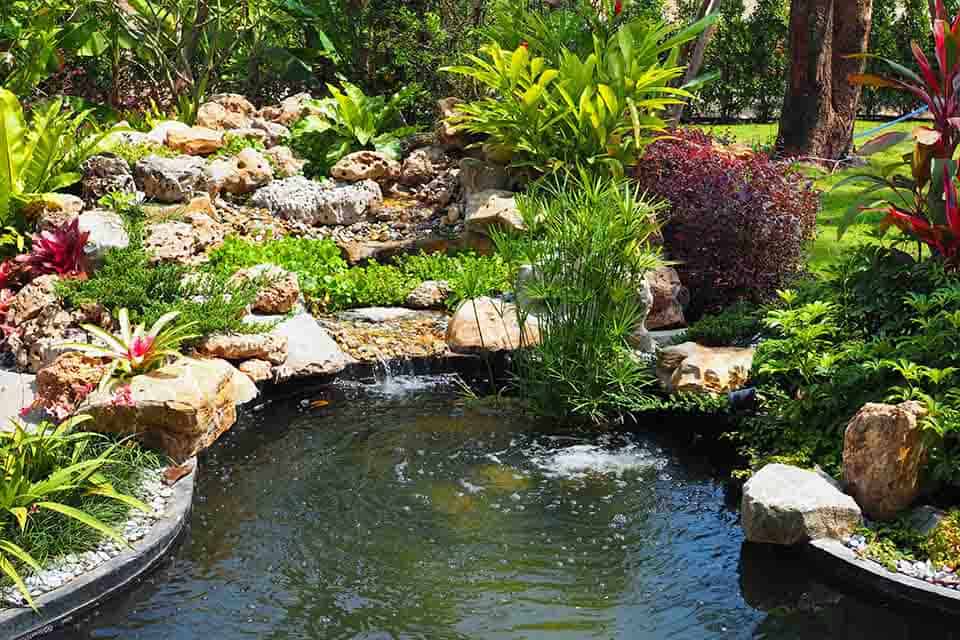 Bài trí hồ nước trong sân vườn để sinh tài lộc
