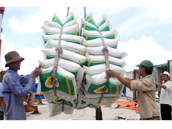Bờ Biển Ngà nhập lượng gạo Việt Nam sụt giảm mạnh